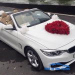 BMW 420i MuiTrần