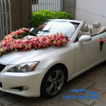 cho-thue-xe-cuoi-lexus-is250c-mui-tran