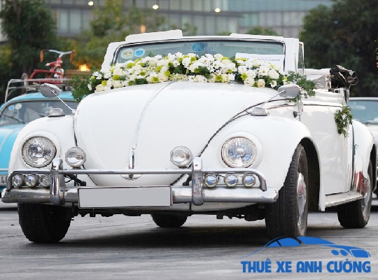 Cho Thuê Xe Cưới Volkswagen Mui Trần