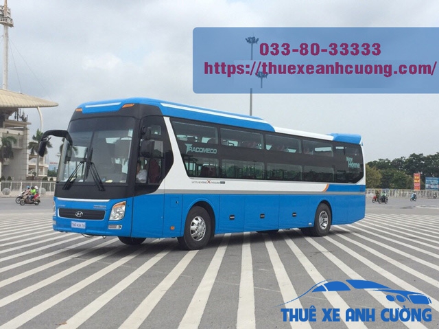 xe-giuong-nam--HYUNDAI