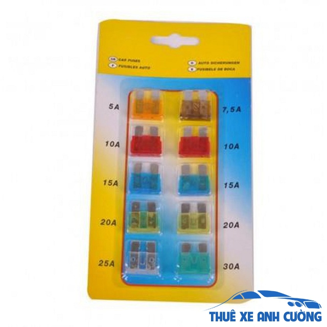 anh-5-lua-chon-cau-chi-co-dong-dien-tuong-duong